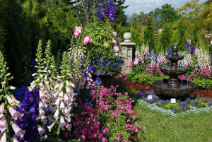 Ornamental Trees